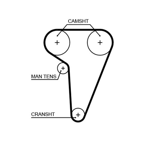 Timing Belt Alfa-Romeo