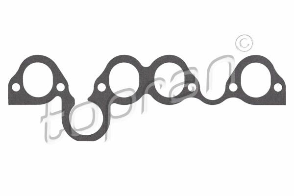 Gasket, intake manifold VAG
