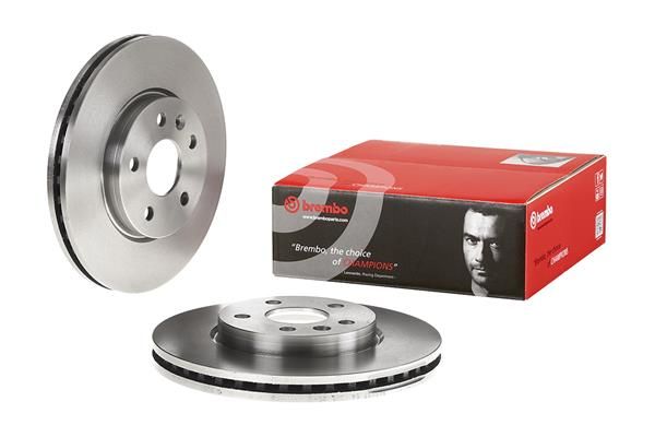 Brake Disc CHEVROLET/OPEL 569073