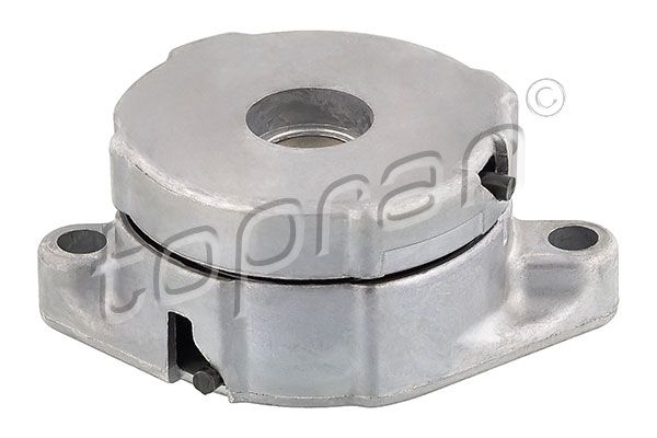 Belt Tensioner, V-ribbed belt VAG