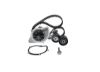 Water Pump & Timing Belt Kit PSA - 16 095 254 80, FORD - 1 761 941