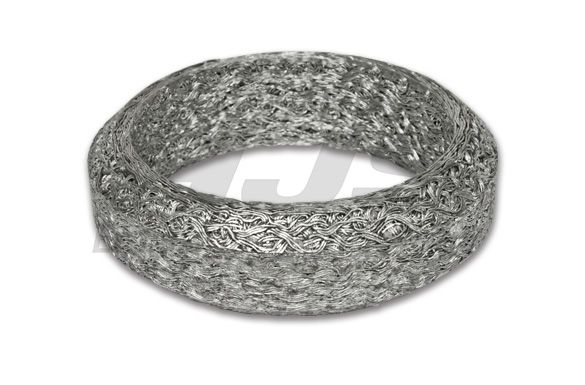 Seal Ring, exhaust pipe BMW - 18 30 7 793 771