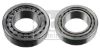 Wheel Bearing Iveco 1905 273