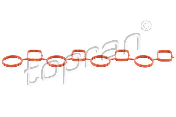 Gasket, intake manifold VAG