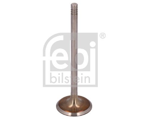 Intake Valve BMW 11 34 1 739 822