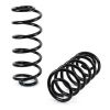 Suspension Kit, springs/shock absorbers Coil Spring Eibach Conversion Kit - 14- Various GM