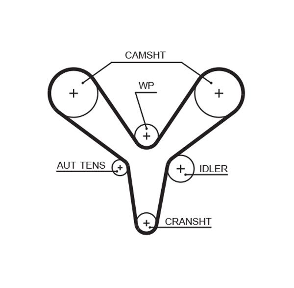Timing Belt Rover 75 2.5 V6