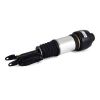 Air Suspension Strut MB E-Class (W211)03-09 esi vas A2113205513