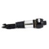 Air Suspension Strut MB E-Class (W211)03-09 esi vas A2113205513