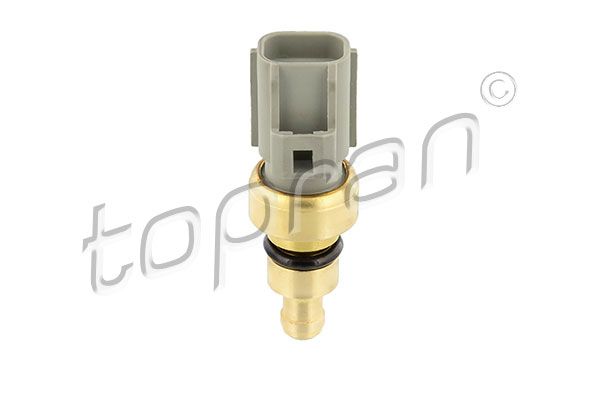 Sensor, coolant temperature FORD