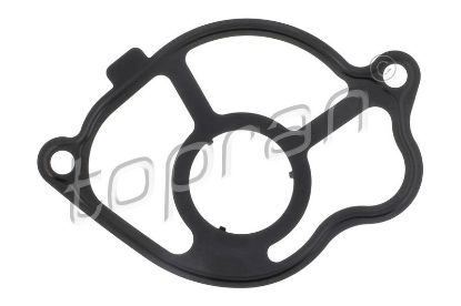 Gasket, vacuum pump