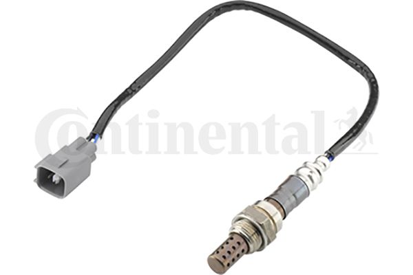 Oxygen Sensor