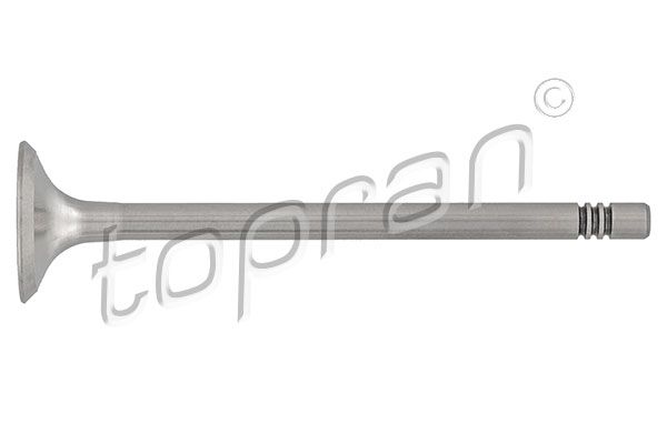 Exhaust Valve VAG 036-109-611K
