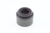 Seal Ring, valve stem Iveco 5801663524