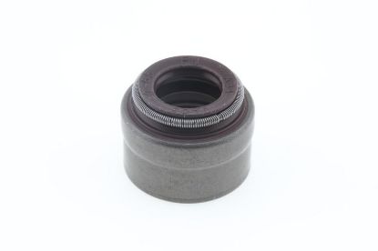Seal Ring, valve stem Iveco 5801663524