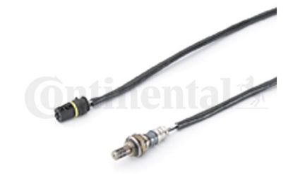 Oxygen Sensor