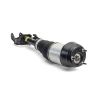 Air Suspension Strut MB GL 12-18