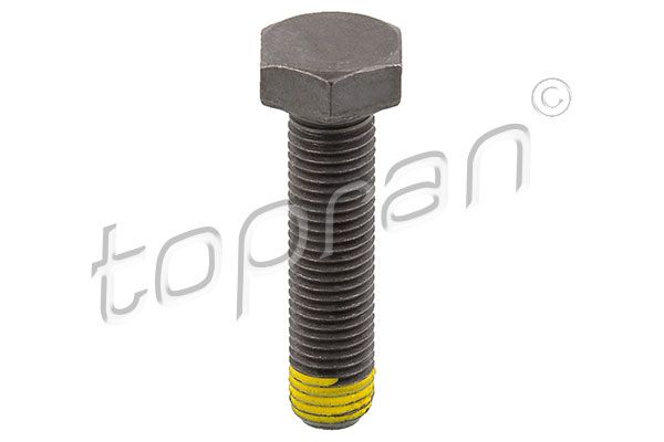 Flywheel Bolt BMW/MINI