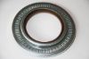 Shaft Seal, wheel hub Oil Seal, wheel hub