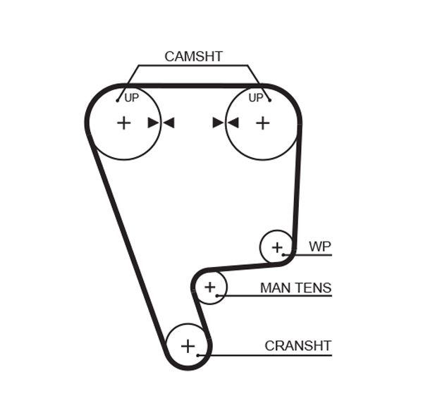 Timing Belt RPM™ Racing Timing Belt