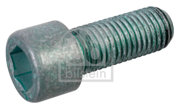 Pulley Bolt 6020990204