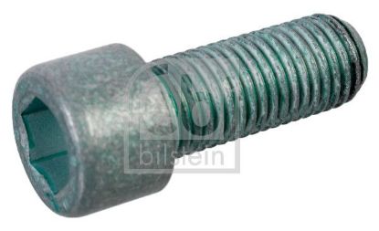 Pulley Bolt 6020990204