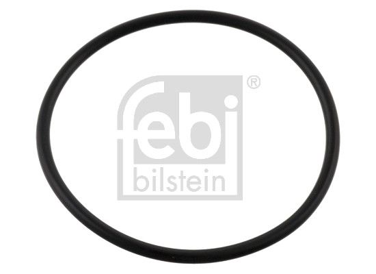 Seal Ring, hydraulic filter BMW 24 31 1 218 570