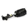 Air Suspension Strut