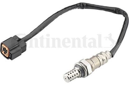 Oxygen Sensor