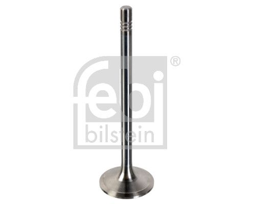 Intake Valve M A N 51.04101.0547