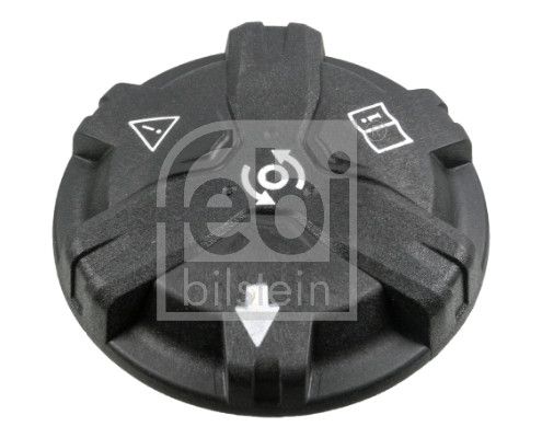 Cap, coolant tank BMW - 17 13 9 885 509