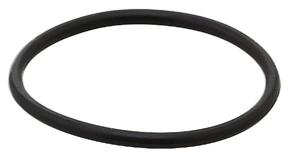 Seal Ring, coolant tube VOLKSWAGEN WHT 006 999