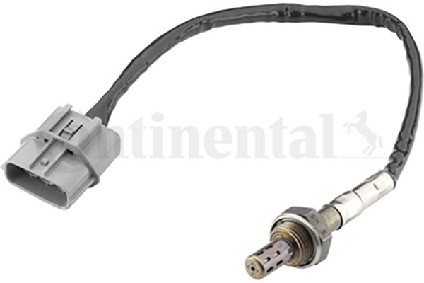 Oxygen Sensor