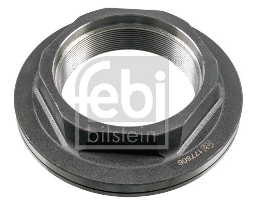 Nut, kingpin Sauer 1 011 0087 00