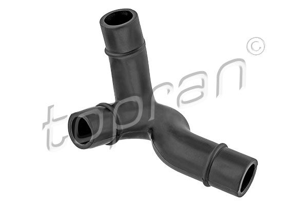 Hose, cylinder head cover ventilation VAG