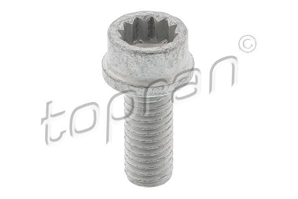 Pulley Bolt VAG - N   910 488 03