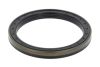Shaft Seal, wheel hub CASE 311569A1