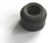 Seal Ring, valve stem RENAULT TRUCKS 21088713