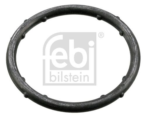 Gasket, coolant flange VW-Audi 037 121 687