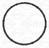 Gasket, EGR valve CUMMINS 3686035