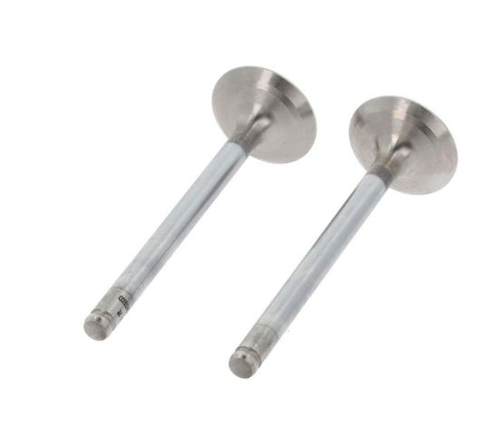 Exhaust Valve PSA 095957