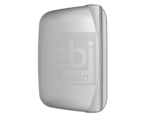 Cover, exterior mirror RENAULT (RVI) - 74 20 903 881