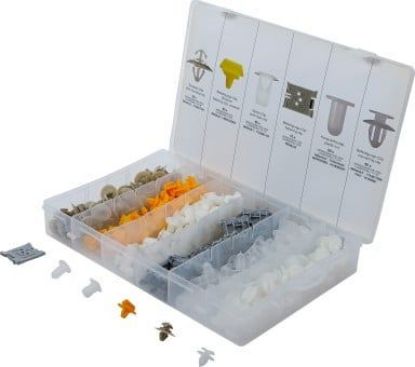 Retaining Clip Set, body 300-piece Automotive Clip Assortment for Renault