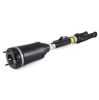 Air Suspension Strut MB ML-Class AMG(W164) 05-10 1643202213