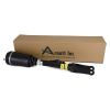 Air Suspension Strut MB ML-Class AMG(W164) 05-10 1643202213
