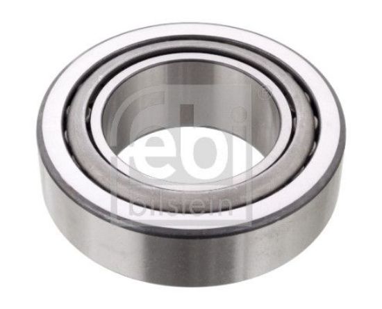 Wheel Bearing DAF 0556 290