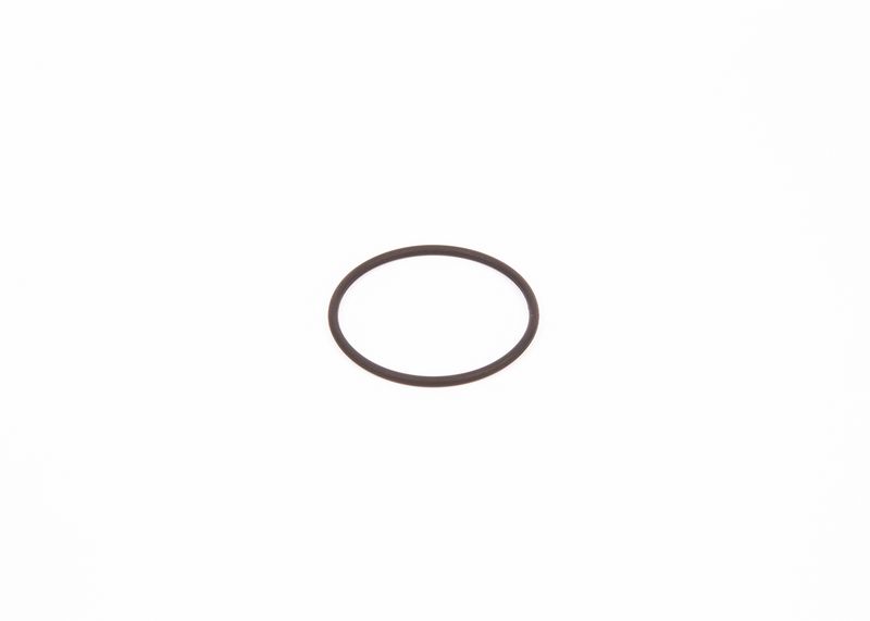 Seal Ring, injector O-ring