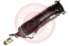 Air Suspension Strut MB 220 320 03 38