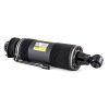 Air Suspension Strut MB SL-Class (R230) 03-06 2303200213