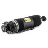 Air Suspension Strut MB SL-Class (R230) 03-06 2303200213